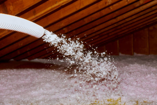 Best Insulation Contractor Near Me  in Oyster Bay Cove, NY