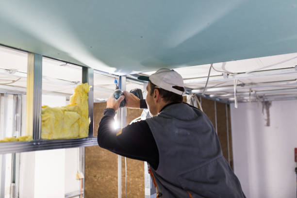 Best Local Insulation Services  in Oyster Bay Cove, NY