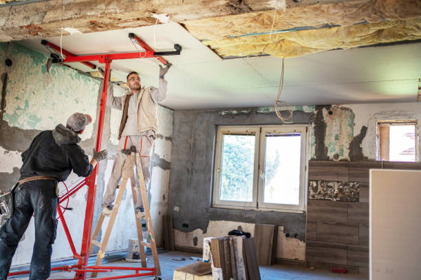 Best Insulation Removal  in Oyster Bay Cove, NY