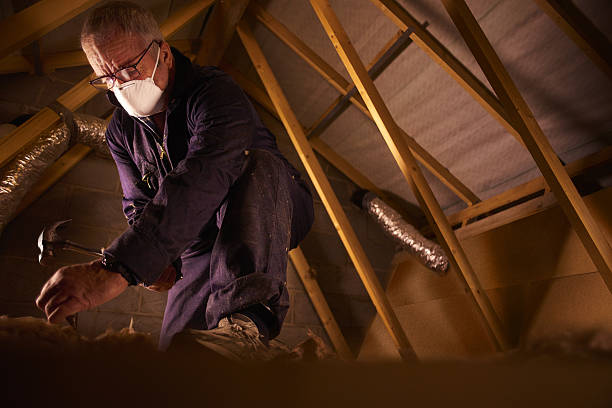 Best Home Insulation Services  in Oyster Bay Cove, NY