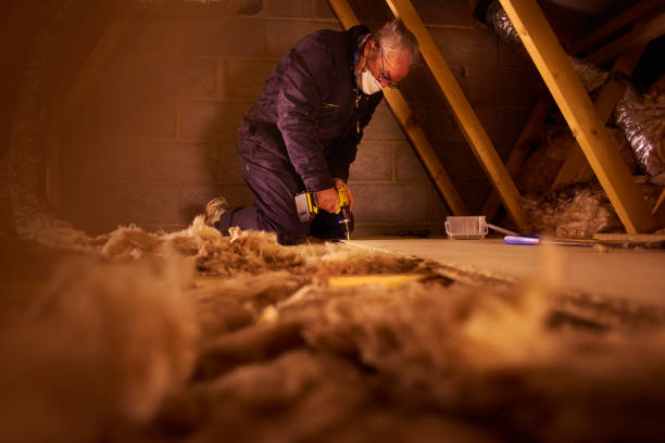 Best Insulation Replacement Services  in Oyster Bay Cove, NY